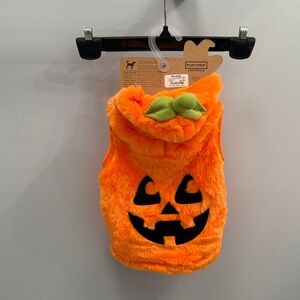 Pup Crew Orange Pumpkin Dog Costume
